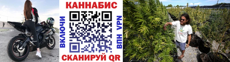 Канабис план  Электроугли 